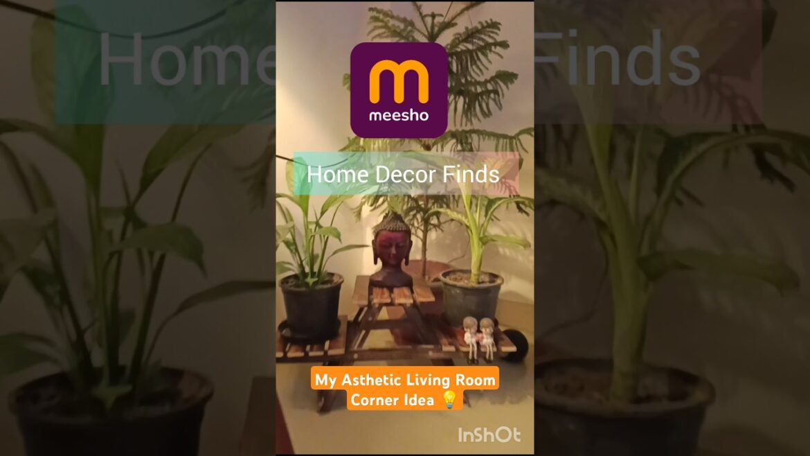 Steal Deal Alert 🤝 #meesho #meeshohaul #homeutilities #shortsvideo #viral_video #gardening #home #yt