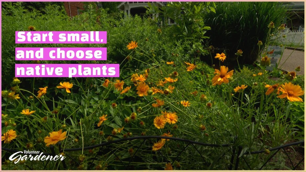 A Mindful Landscape | Volunteer Gardener