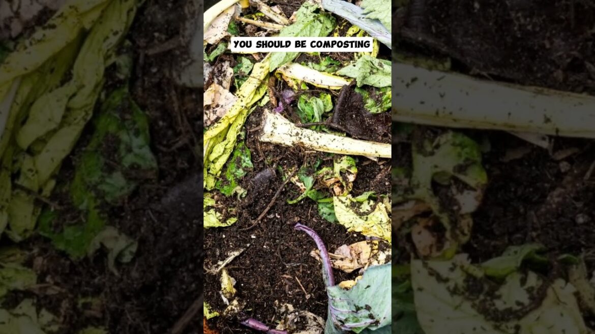 California Gardening: Composting: The Benefits of Composting for a Healthier Garden! Composting: The Benefits of Composting for a Healthier Garden!