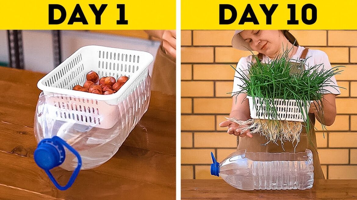 Valuable Gardening Hacks to Grow Your Own Plants And Vegetables Valuable Gardening Hacks to Grow Your Own Plants And Vegetables