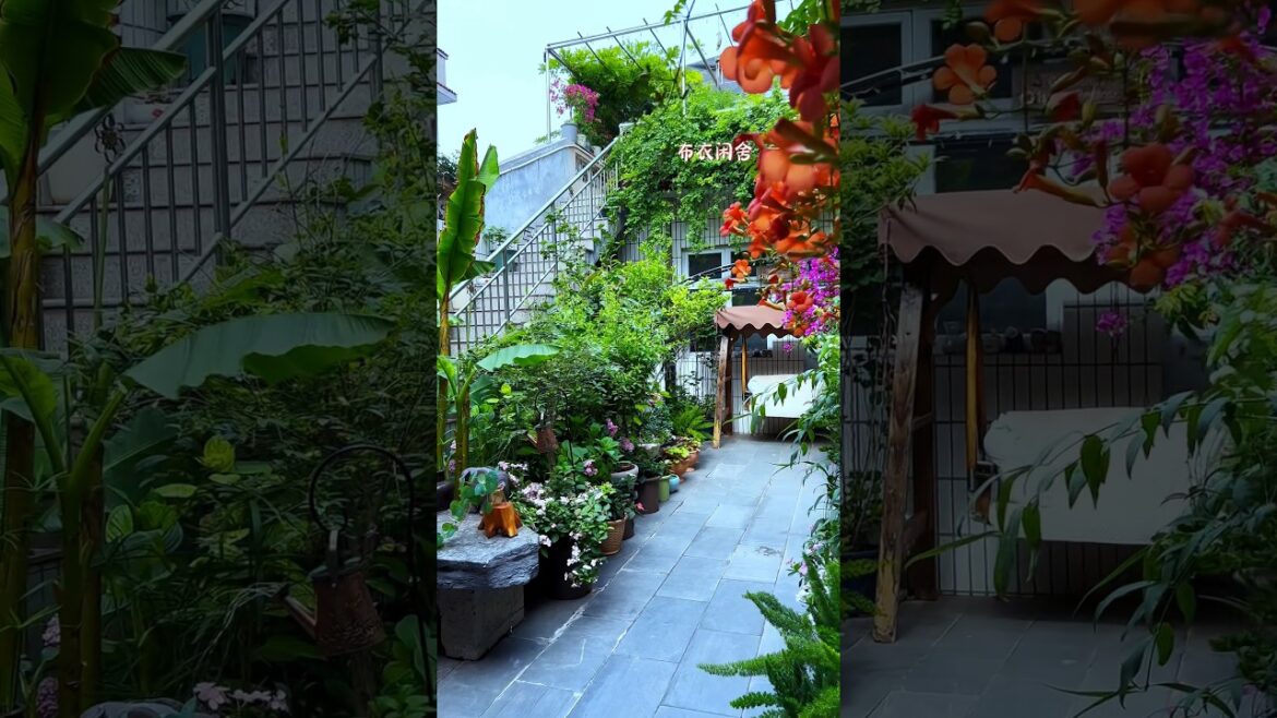 Beautiful backyard garden #gradening #planting #diy #shorts Beautiful backyard garden #gradening #planting #diy #shorts