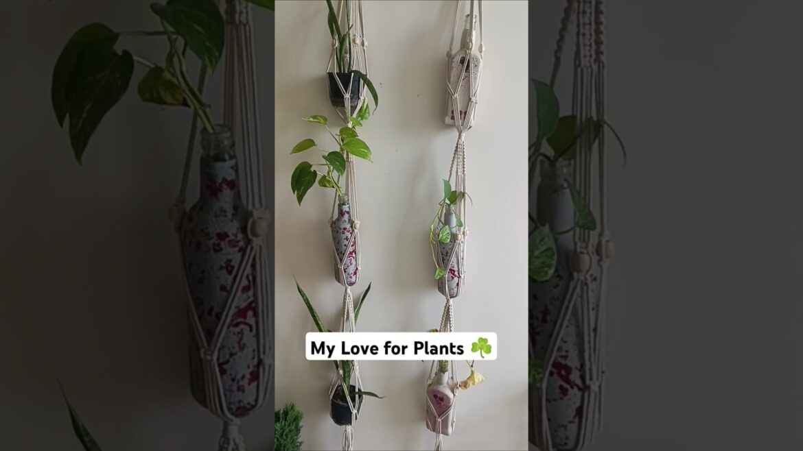 Make Home Aesthetic✨ #homedecor #plants #loveplants #shortsvideo #indoorplants #trending #shorts #yt