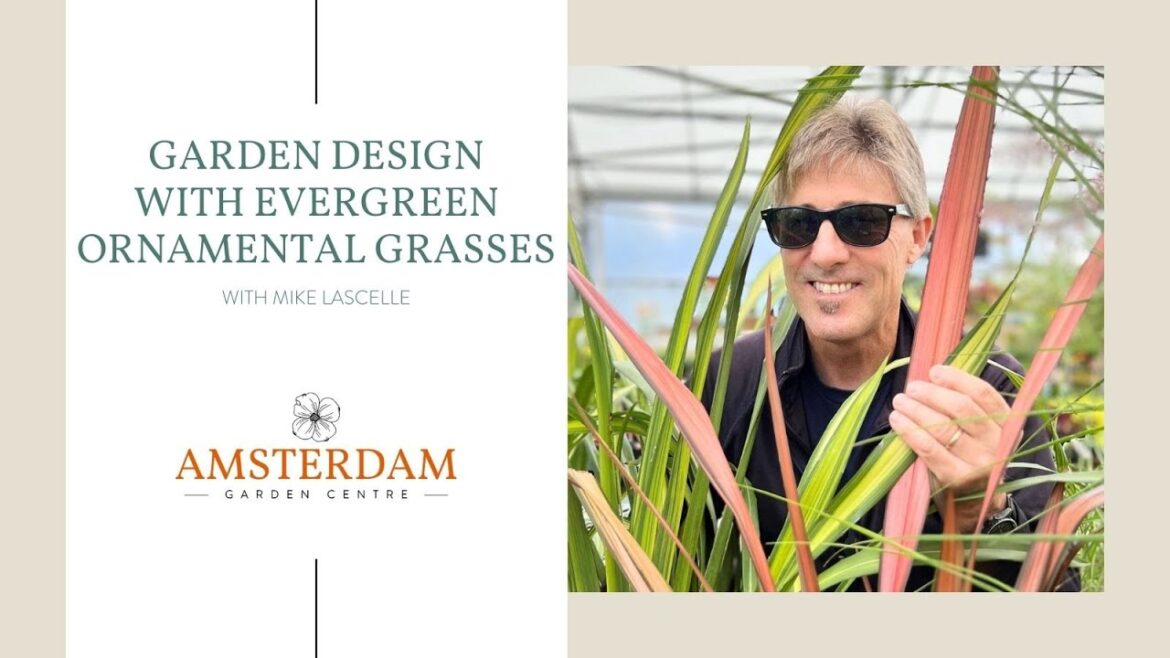 Garden Design with Evergreen Ornamental Grasses