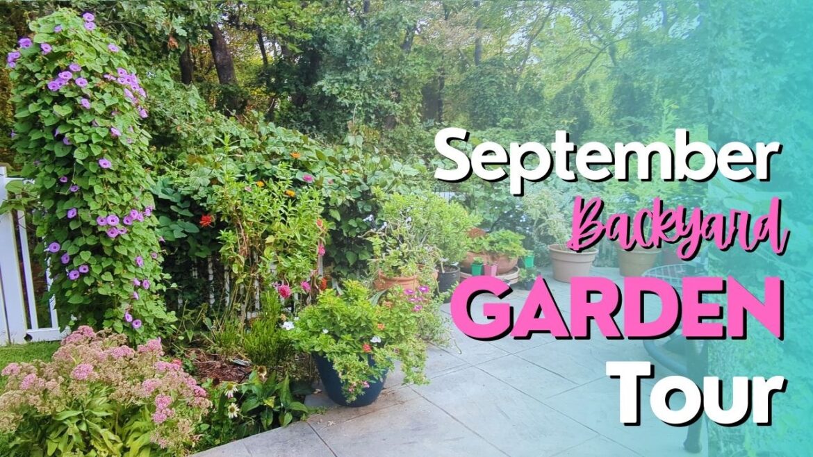 September ’24 Backyard Garden Tour! FALL Blooming Flowers & Vertical Garden SUCCESS! #gardentour September '24 Backyard Garden Tour! FALL Blooming Flowers & Vertical Garden SUCCESS! #gardentour