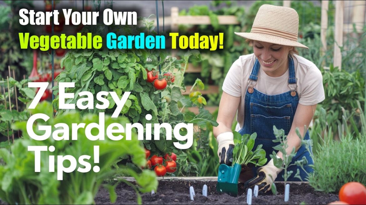 7 Easy Gardening Tips for Beginners | Start Your Own Vegetable Garden Today! 7 Easy Gardening Tips for Beginners | Start Your Own Vegetable Garden Today!