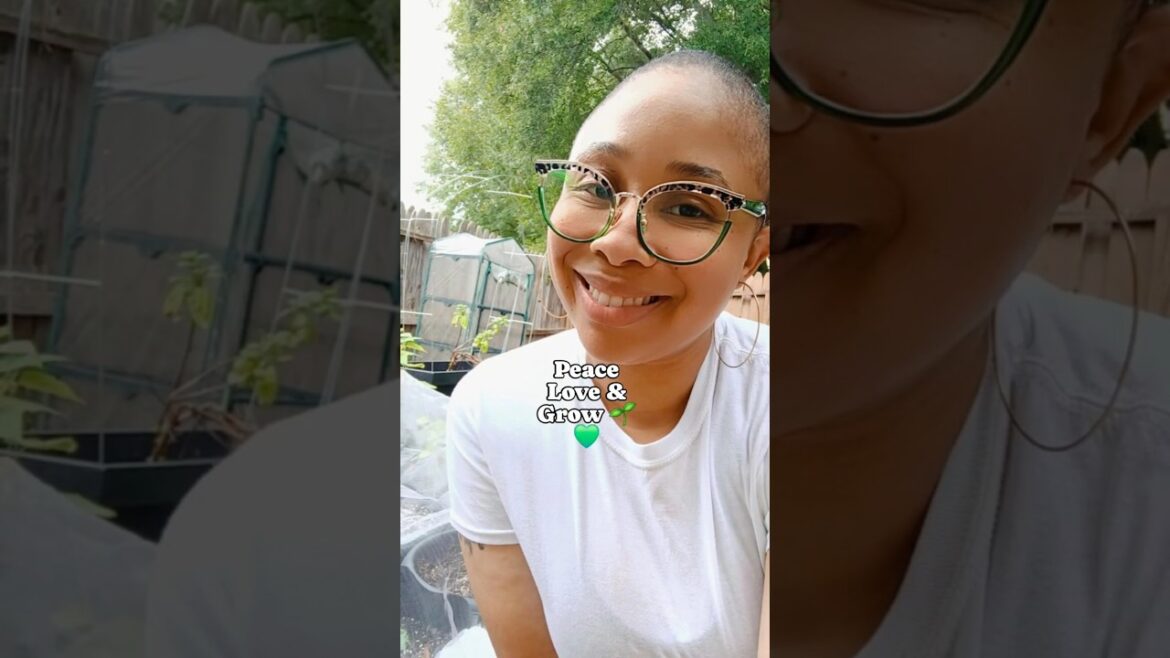 Growing Snow Peas 🫛 | Container Gardening