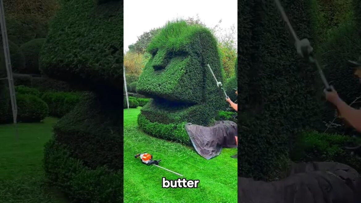 Satisfying Gardening Work 🌳 #garden #gardening #satisfying #cleaning #grass #lawn #viral #fyp #95 Satisfying Gardening Work 🌳 #garden #gardening #satisfying #cleaning #grass #lawn #viral #fyp #95