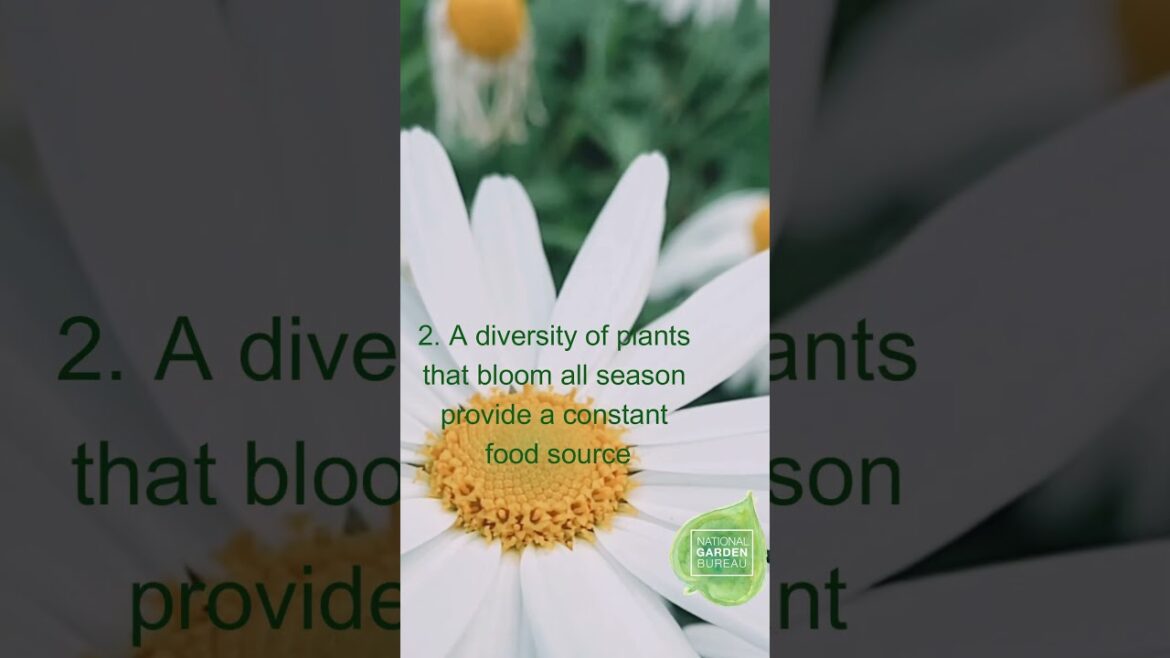 Tips to Attract Pollinators to Your Garden. #gardening #garden #containergardening #plants