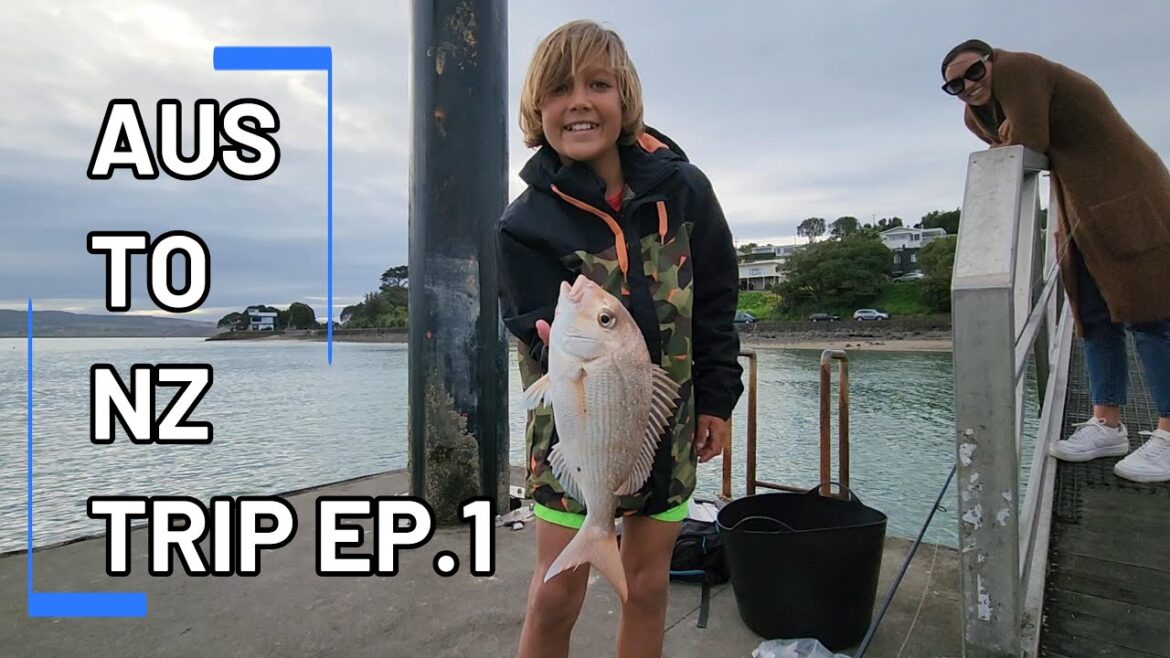 From Australia to New Zealand: Snapper Success in 24 Hours!