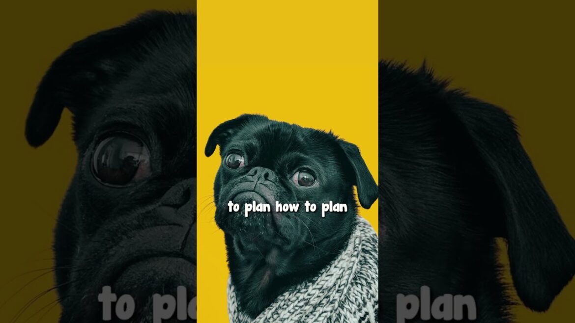 Here's How You can Use Plants from My Garden Essentials