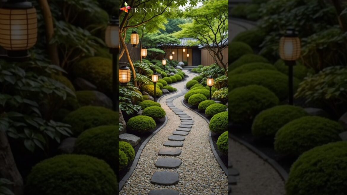 Modern Backyard Garden Landscaping Ideas #shorts #ytshorts #youtubeshorts #shortsfeed