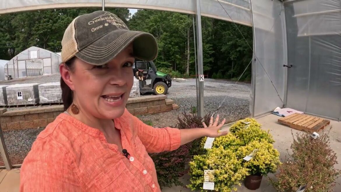 Gorgeous Shrubs for the New Garden