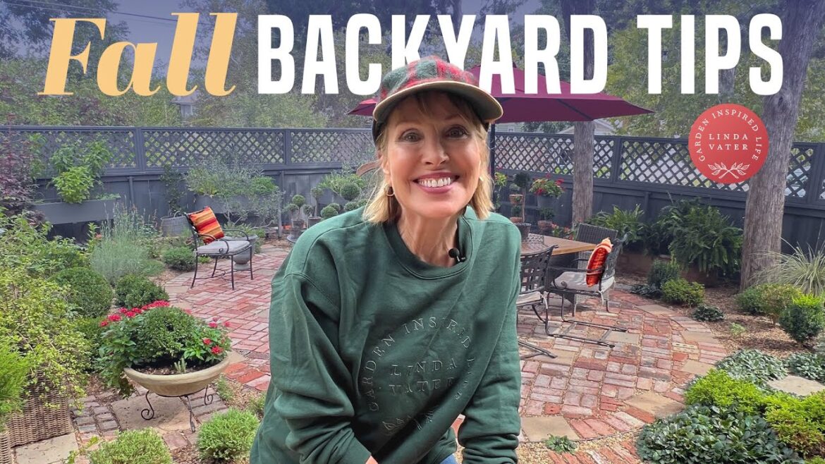 Let’s Garden In My Fall Backyard Let’s Garden In My Fall Backyard