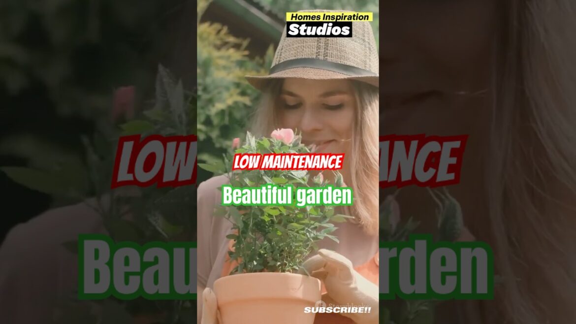 The Ultimate Cheat Code for Gardeners: 5 Tips for Low-Maintenance Beautiful Backyard Garden #garden The Ultimate Cheat Code for Gardeners: 5 Tips for Low-Maintenance Beautiful Backyard Garden #garden