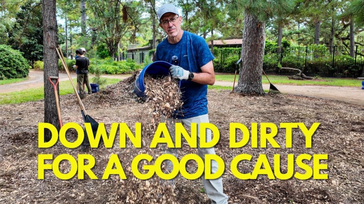 Restoring Beauty: Volunteering at Houston’s Japanese Garden After Hurricane Beryl