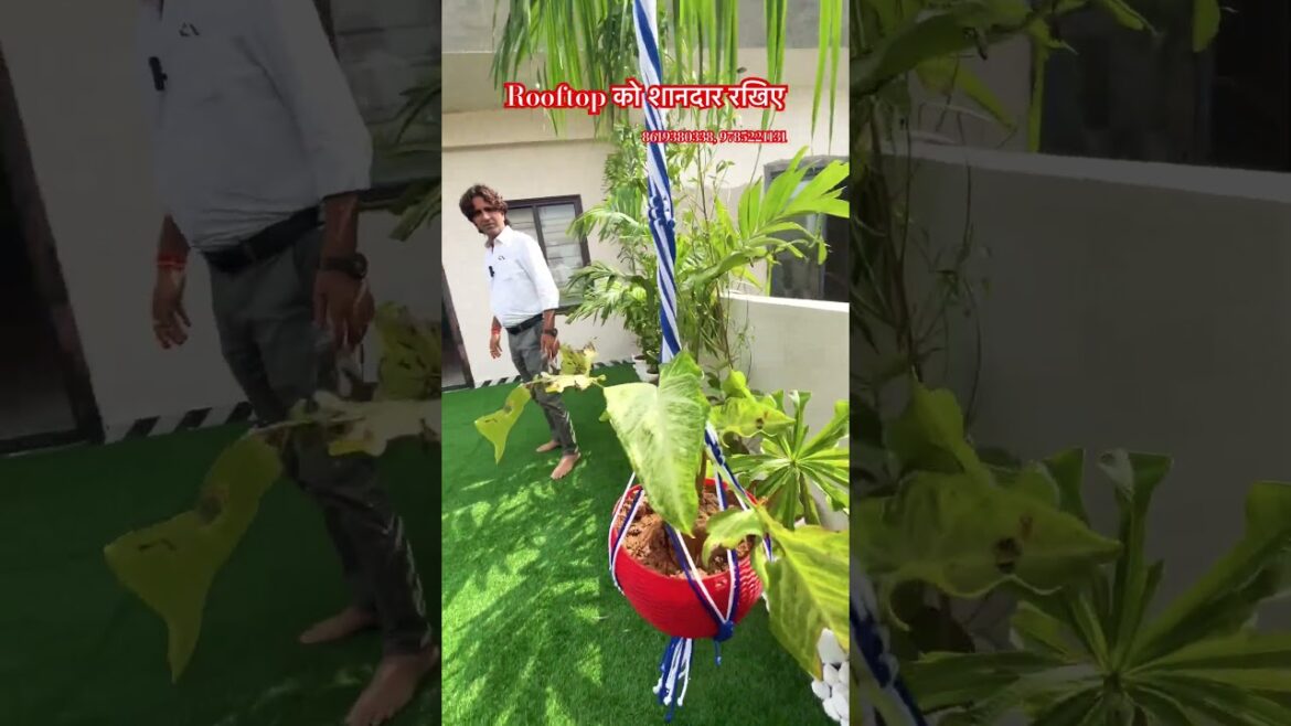 कुछ ख़ास है ये रूफटॉप । luxury rooftop Garden design | interior design #shorts #home #jaipur