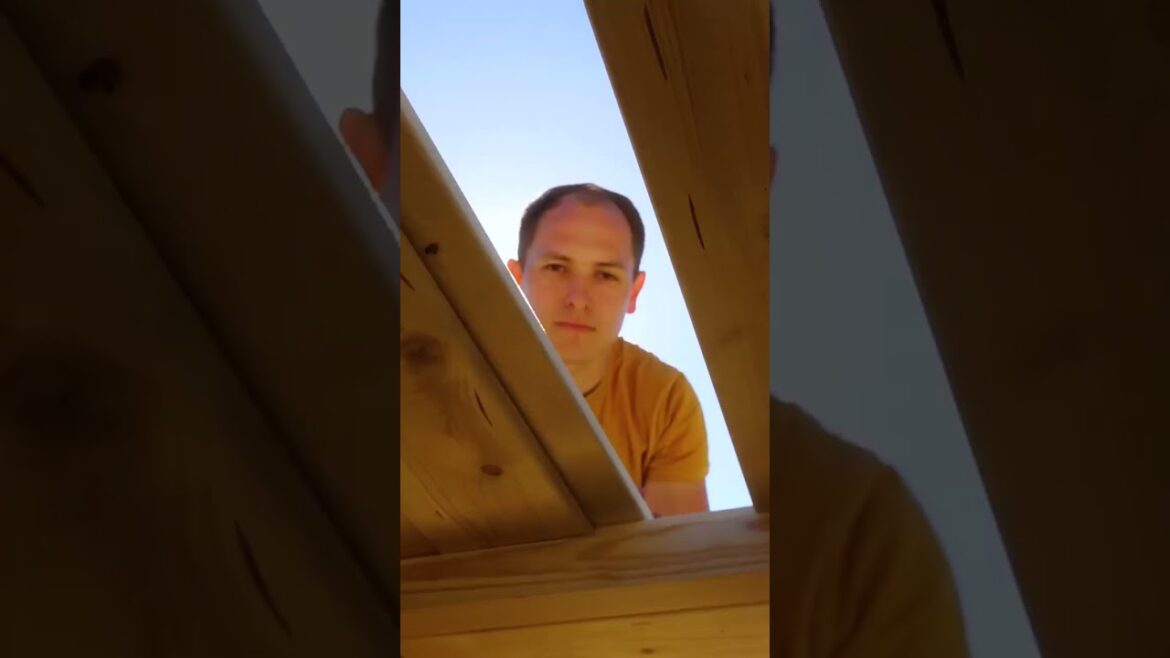 Eco-friendly dog house with recycled materials! 🐶🏡♻️