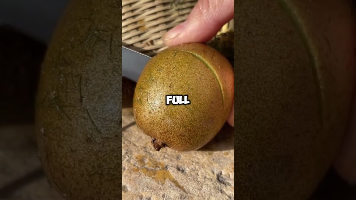 Mind Blowing Random Facts You Need to know 🤯