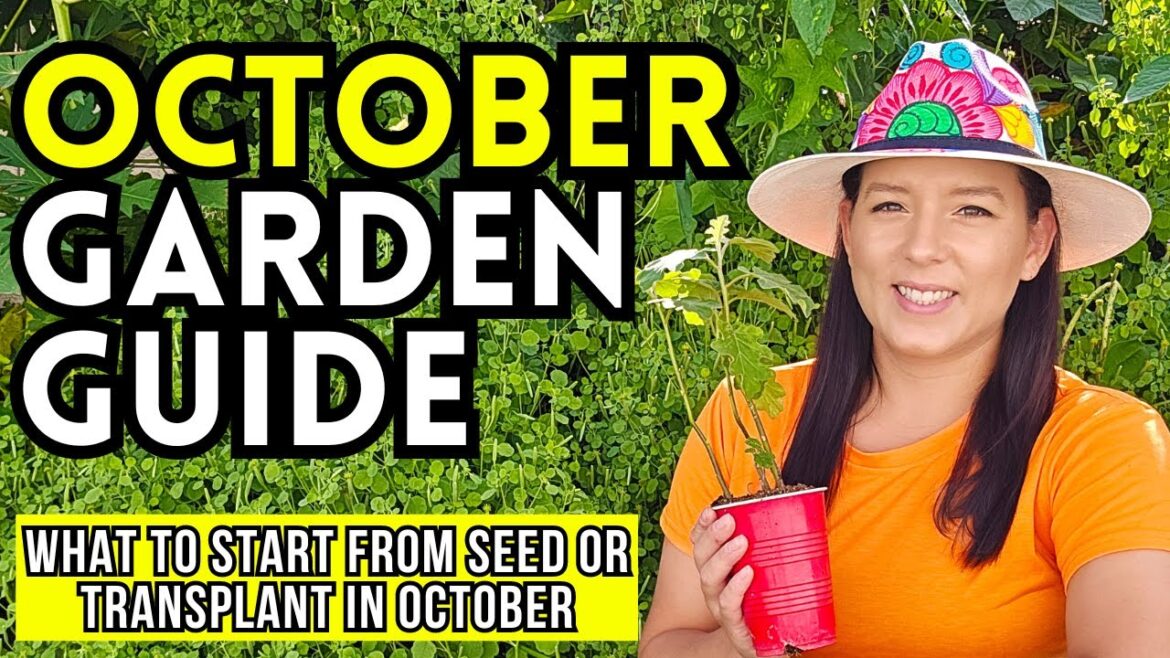 30 Veggie Crops To Plant Right NOW In October For A Bountiful Fall Garden 30 Veggie Crops To Plant Right NOW In October For A Bountiful Fall Garden