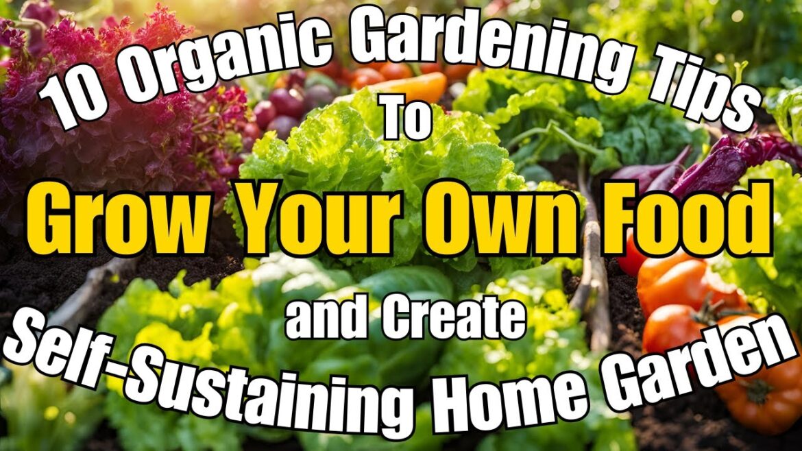 Grow Your Own Food - 10 Beginner Friendly Organic Gardening Tips to Create a Self-Sustaining Home