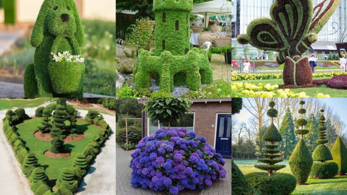 Useful idea for garden, backyard decor! front yard landscaping decor ideas special garden