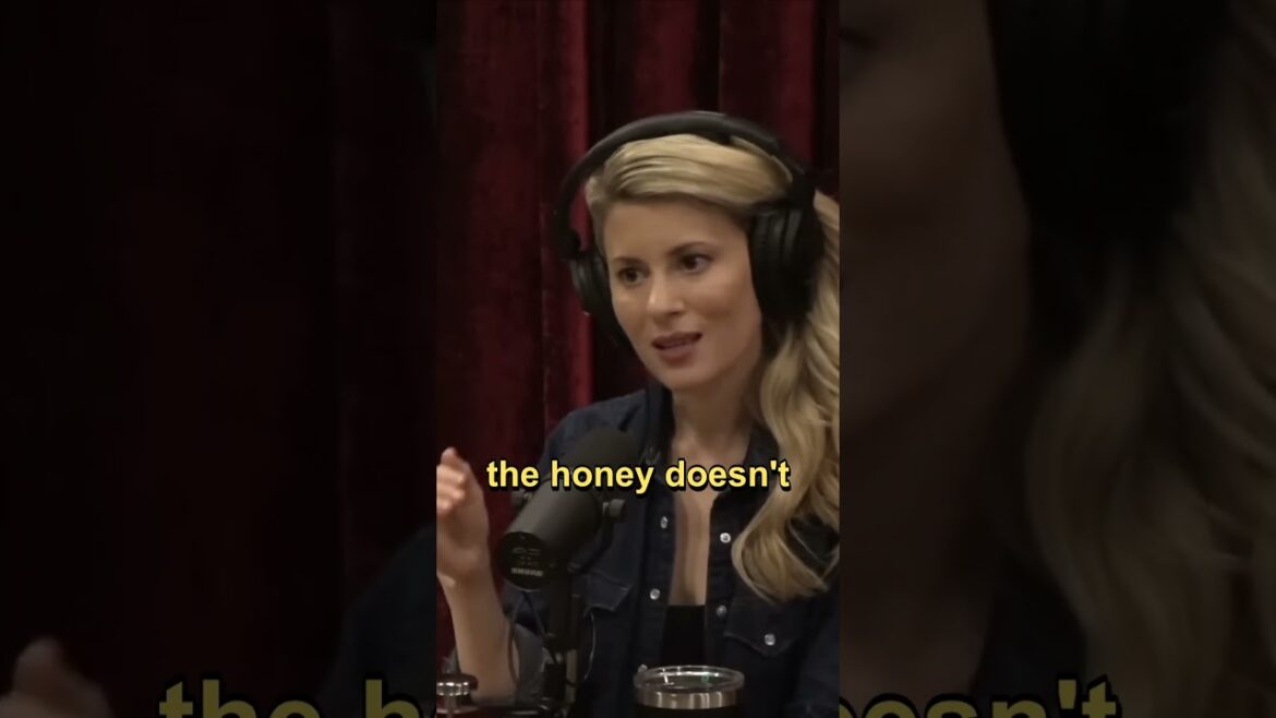 How To Build A Honeycomb | Erika Thompson How To Build A Honeycomb | Erika Thompson