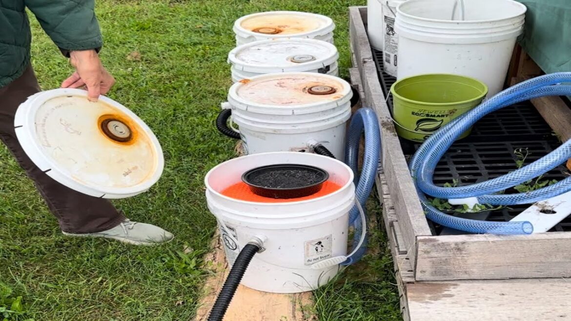 A Quick Look on Sustainable Gardening Hacks: Easy & Simple Use of Urine as Nutrient Compost A Quick Look on Sustainable Gardening Hacks: Easy & Simple Use of Urine as Nutrient Compost