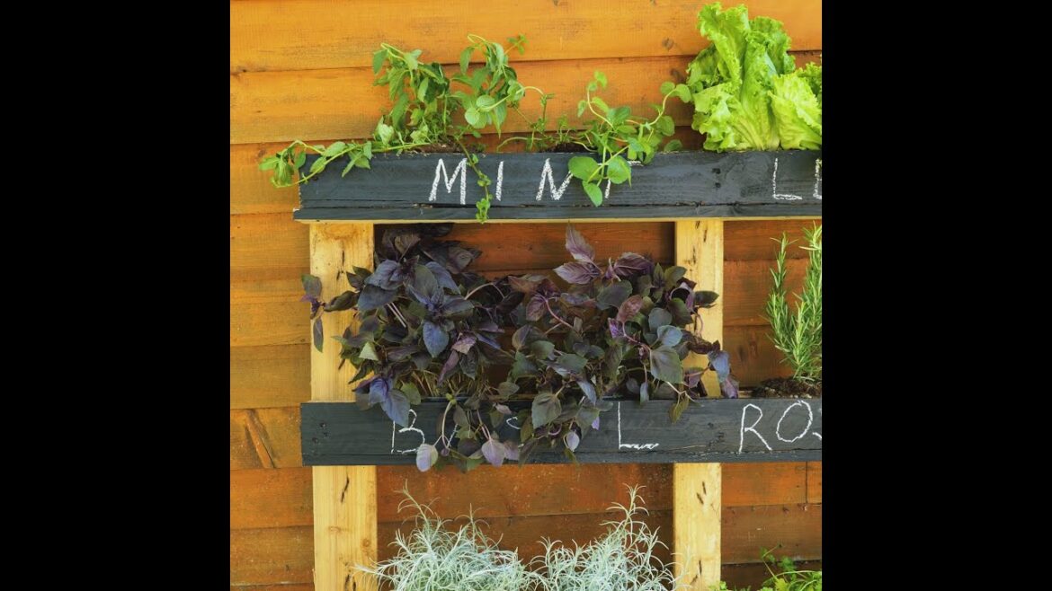 Easy & Useful Gardening And Plant Growing Tips And Tricks 🪴 Easy & Useful Gardening And Plant Growing Tips And Tricks 🪴