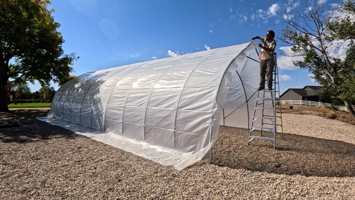 Garden Answer: Moving the High Tunnel & All the Plants + Planting Invincibelle Ruby Hydrangeas! ๐๐ฟ๐คฉ Moving the High Tunnel & All the Plants + Planting Invincibelle Ruby Hydrangeas! ๐๐ฟ๐คฉ