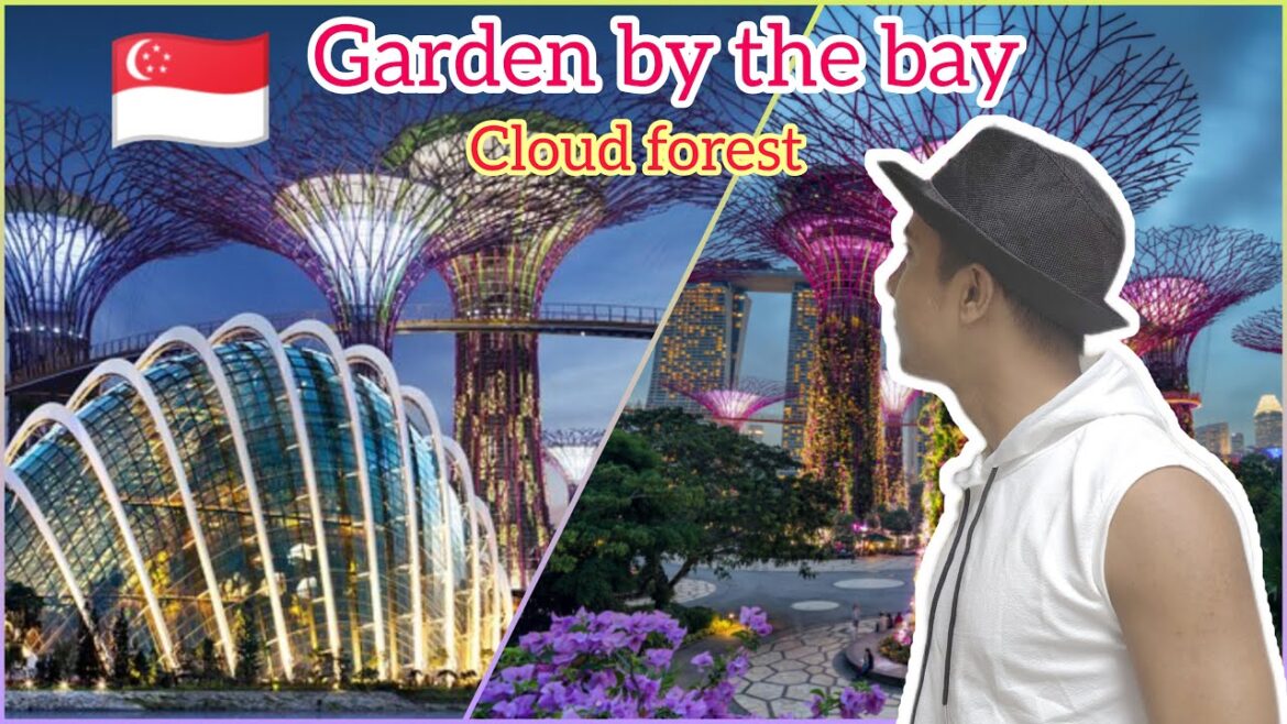 Garden by the bay and cloud forest in Singapore-Travelearn