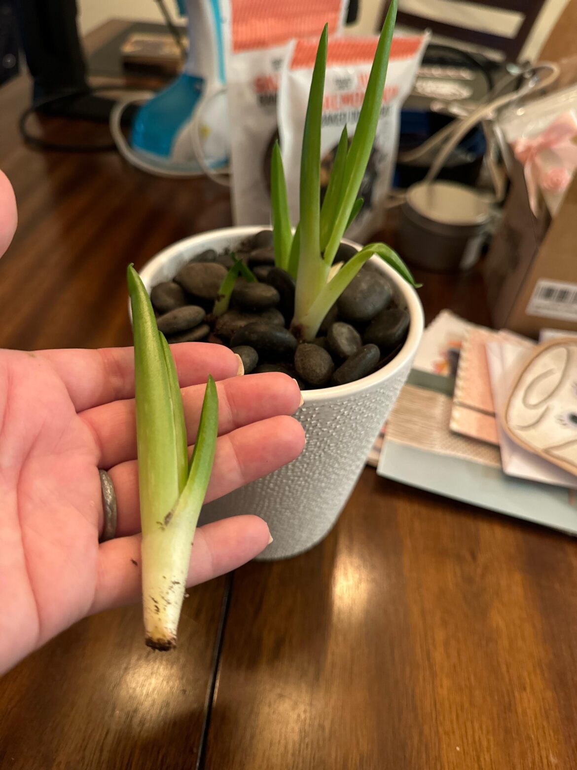 Not really profiting but I need help!