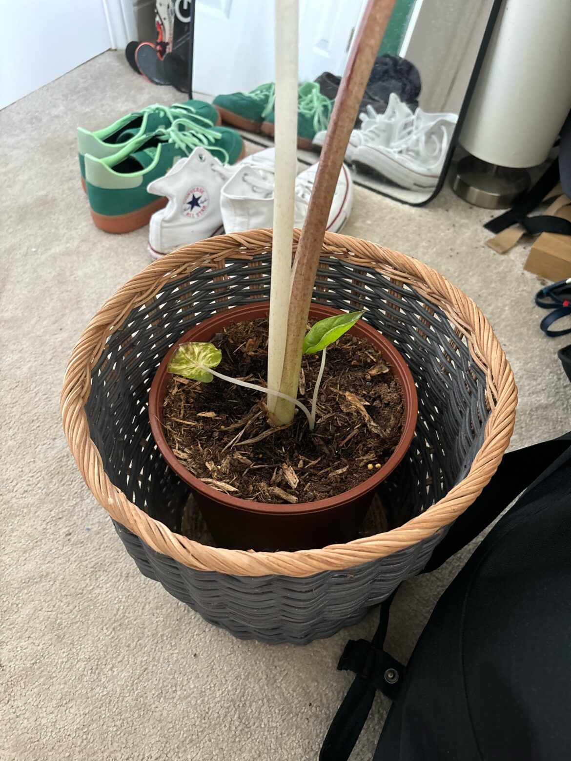 How to prop?