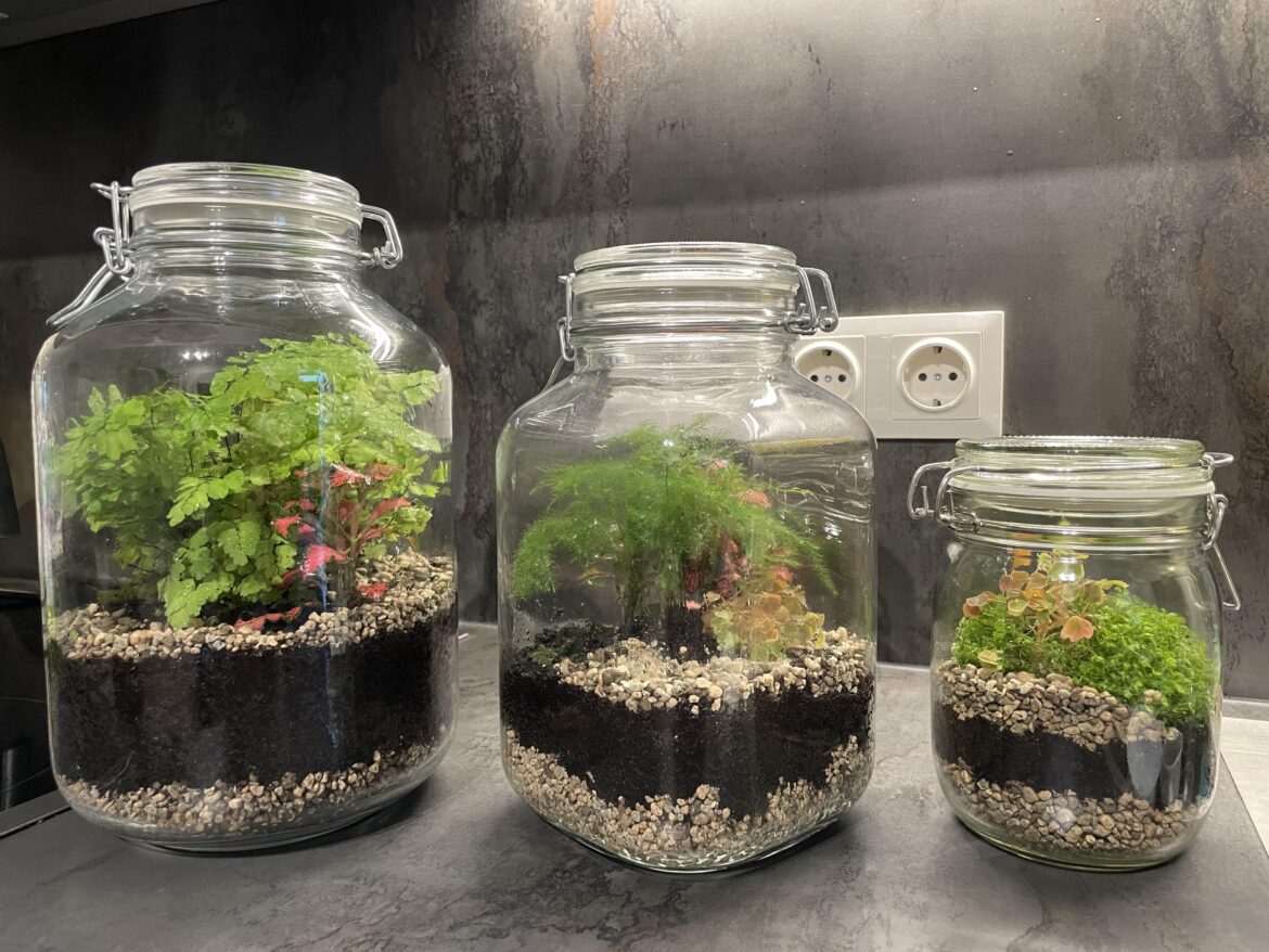 I just made my first Jarrariums! I just made my first Jarrariums!