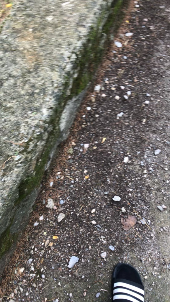 What is this????? Found at a roadstop near Montpellier