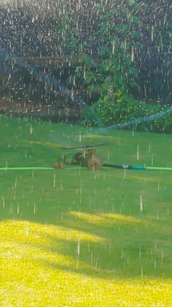 Old school irrigation.