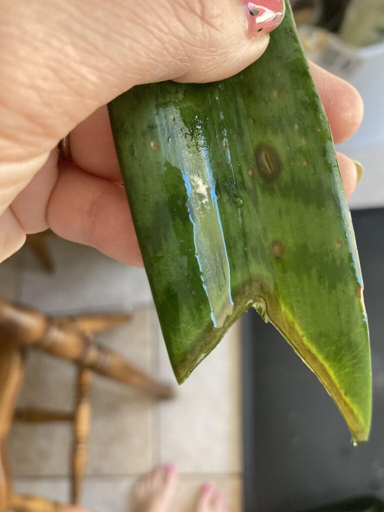 Propagating snakes in water? Propagating snakes in water?