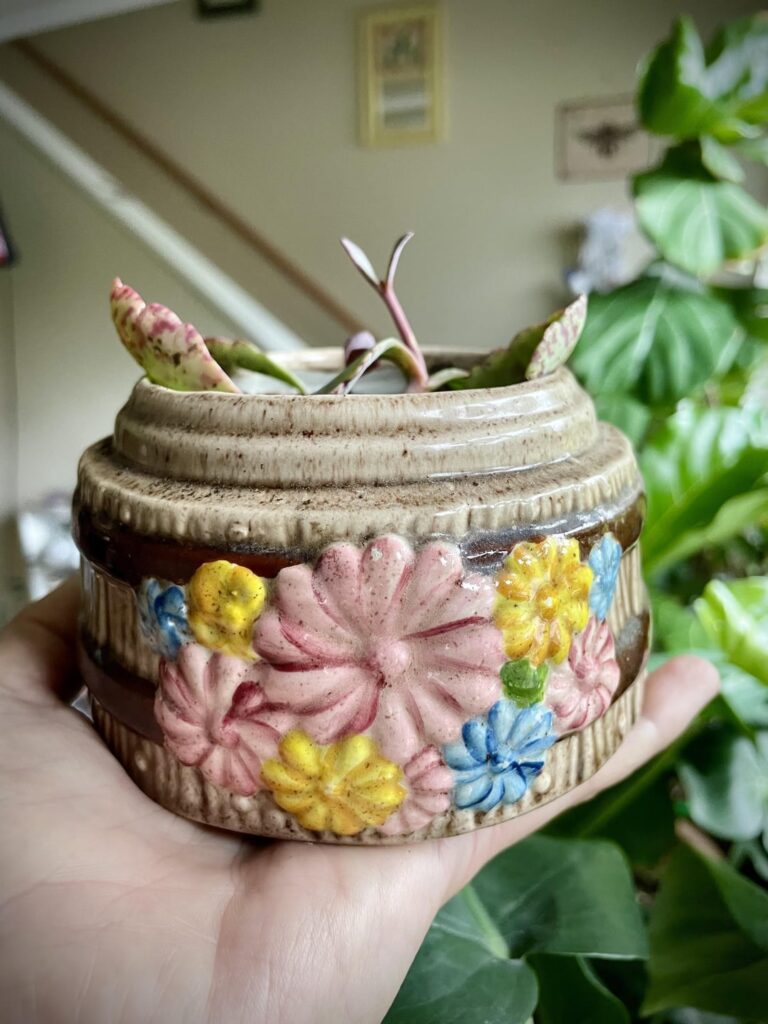 Mother of found on floor of walmart in a little goodwill pot