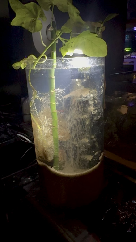 This underwater sandfall has the same relaxing effect that the good ole lava lamps used to have.