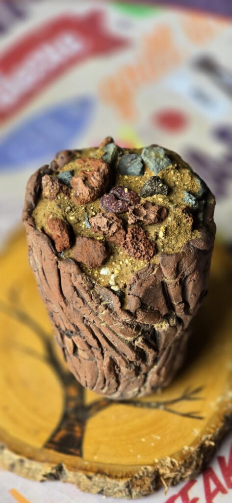 Some tiny conophytum