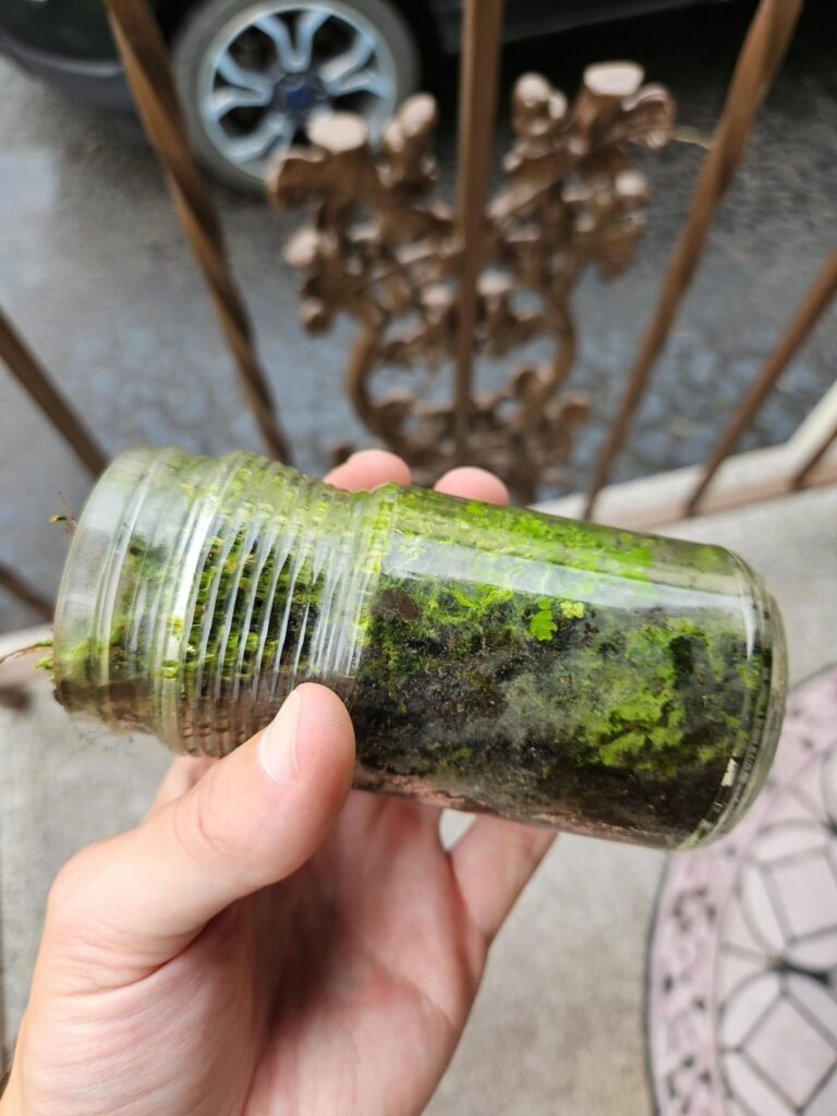 Will this survive if I seal it? Will this survive if I seal it?