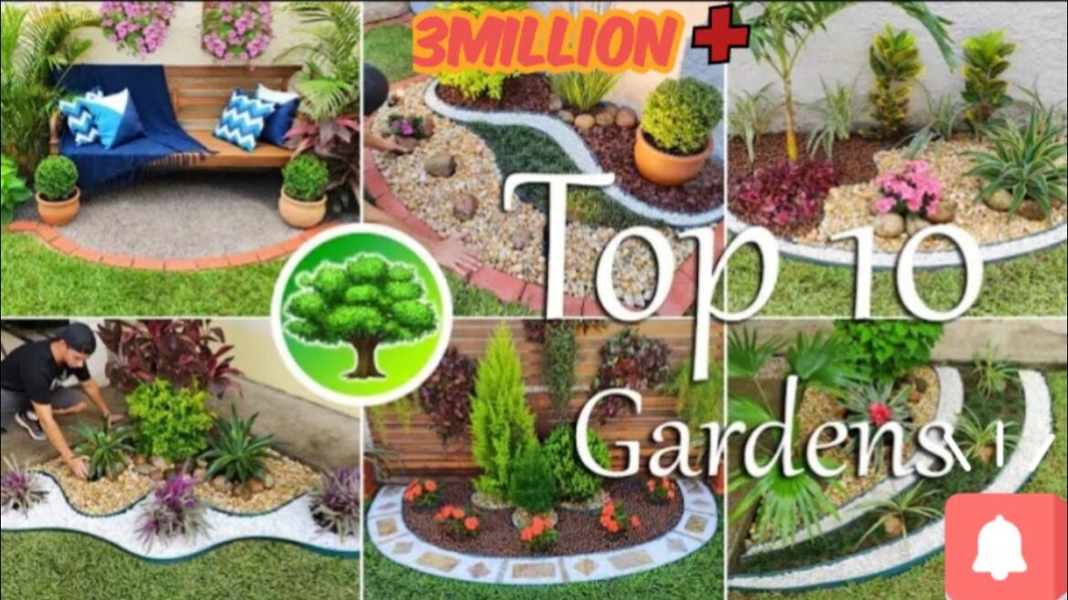 Transform Your Yard: Beautiful Modern Gardening Ideas Transform Your Yard: Beautiful Modern Gardening Ideas