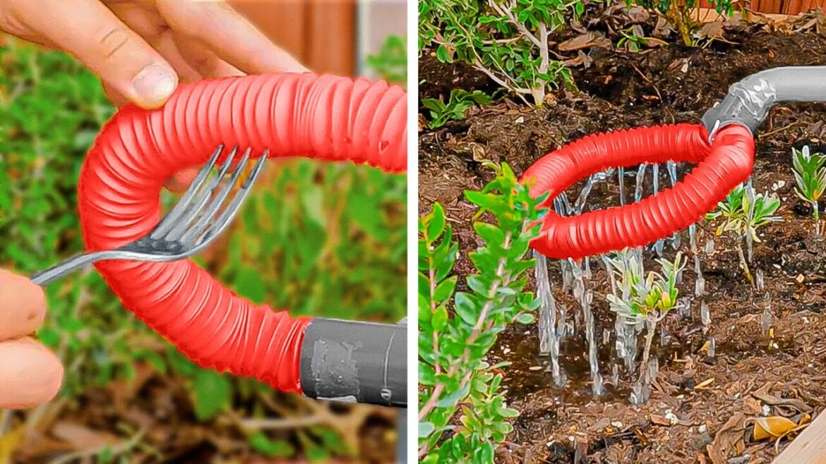 Gardening Hacks To make Your Plants Grow And Blossom