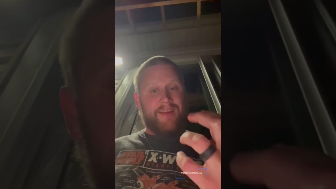 End-of-Season Harvest: How to Make Green Powder from Edible Greens 🍃💪#garden #gardenharvest #food