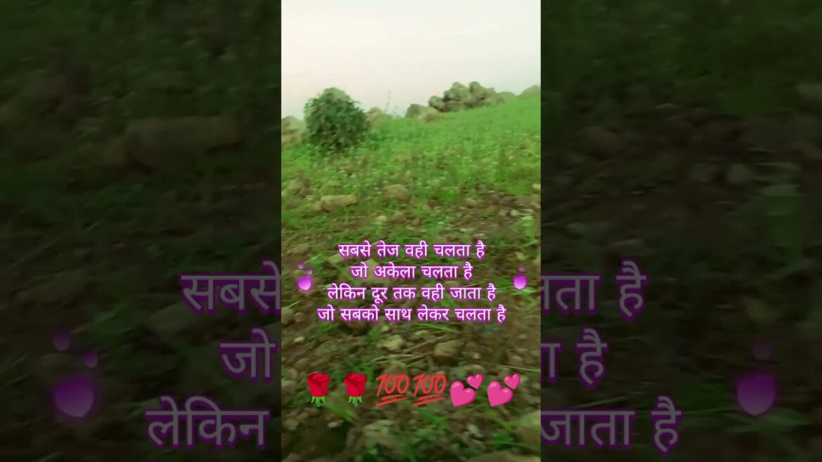 Shorts video hariyali shorts video hariyali #shorts video #hariyali