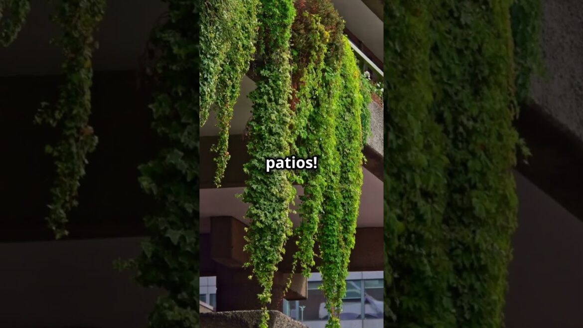 5 Home Gardening Ideas in 30 Seconds | Quick & Easy Tips! ๐ฟ 5 Home Gardening Ideas in 30 Seconds | Quick & Easy Tips! ๐ฟ