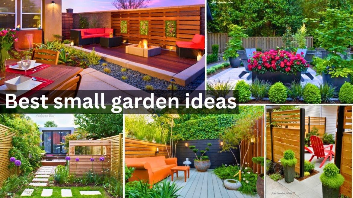 Best small garden ideas|How to design a small garden|small garden|SMALL GARDEN IDEAS #ashgardenideas