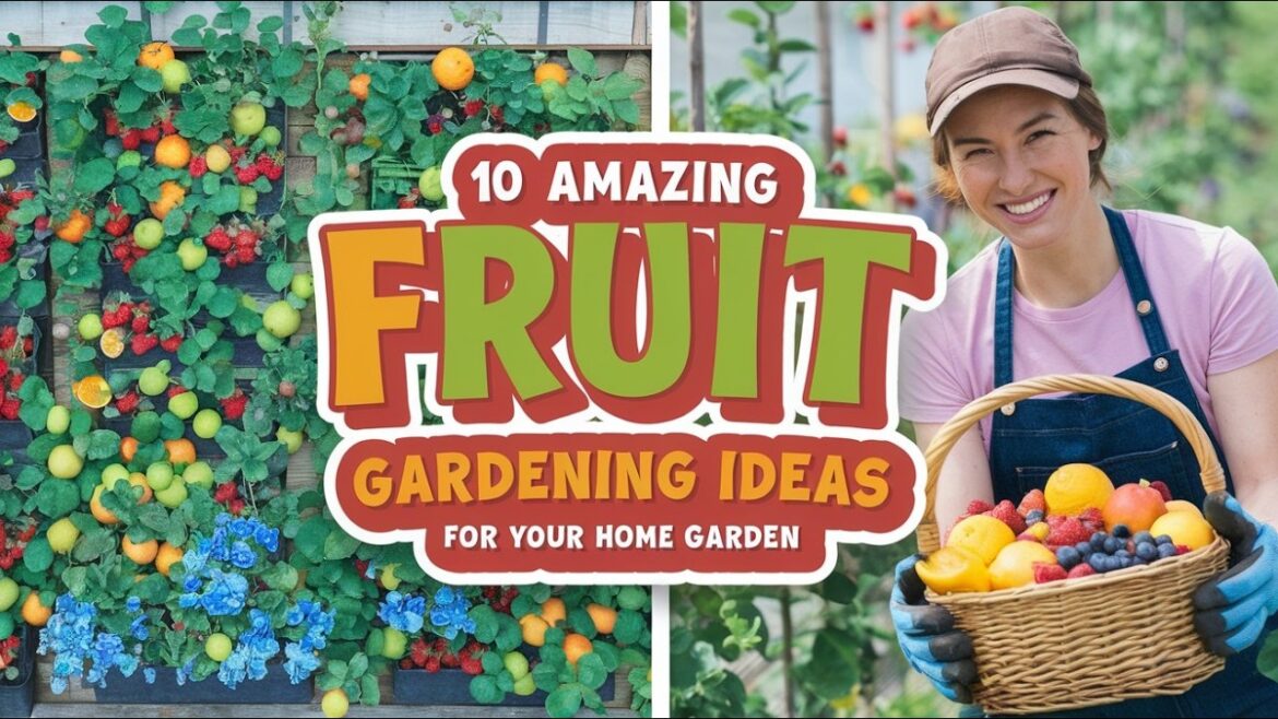 10 Amazing Fruit Gardening Ideas for Your Home Garden