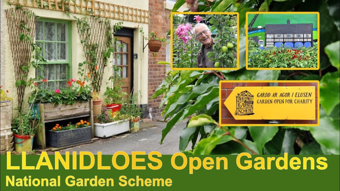 Llanidloes Open Gardens | National Garden Scheme | 2024 Llanidloes Open Gardens | National Garden Scheme | 2024