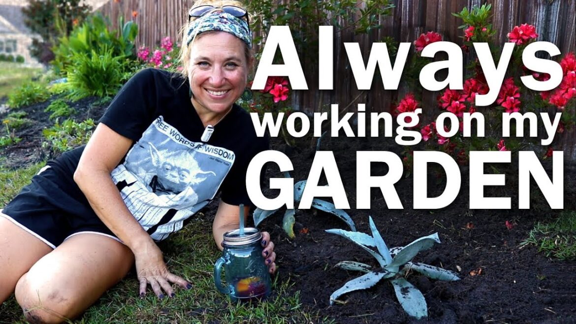 Expanding my landscape on a budget! | Fall is for planting