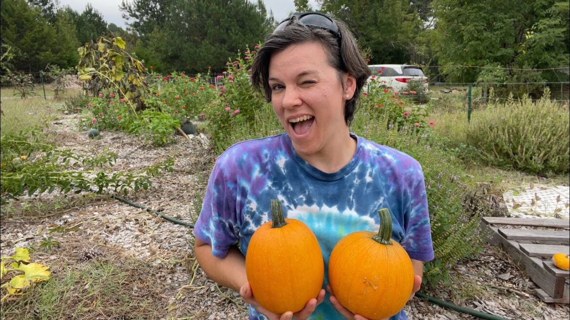 September Harvest and Garden Tour - Laurens SC